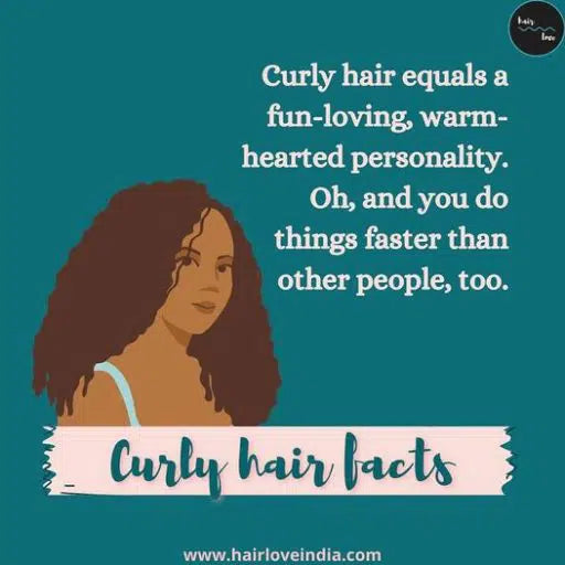 Curly Hair Guide to plopping