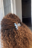 Glossy Zig Zag Claw Clips - Hair Love India