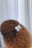 Glass Bow Claw Clips - Hair Love India