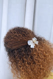 Glass Bow Claw Clips - Hair Love India