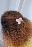 Glass Bow Claw Clips - Hair Love India