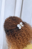 Glass Bow Claw Clips - Hair Love India